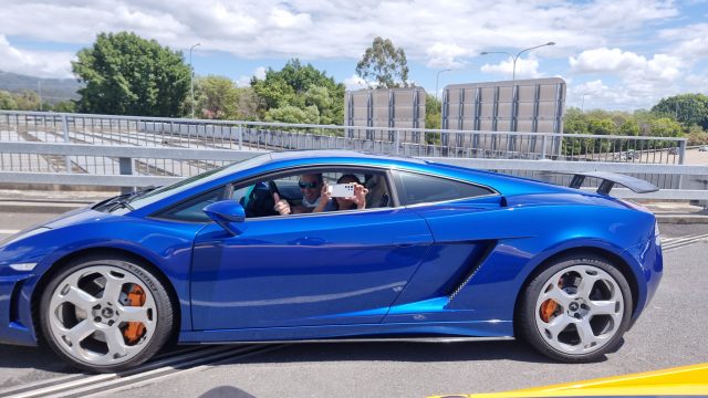 Mt Tamborine Drive photo
