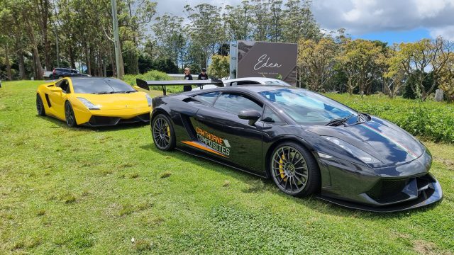 Mt Tamborine Drive photo