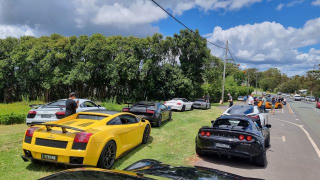 Mt Tamborine Drive photo