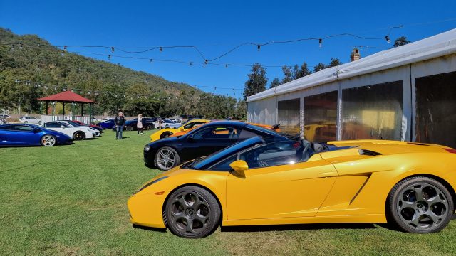 O'Reillys Vinyard Lunch photo